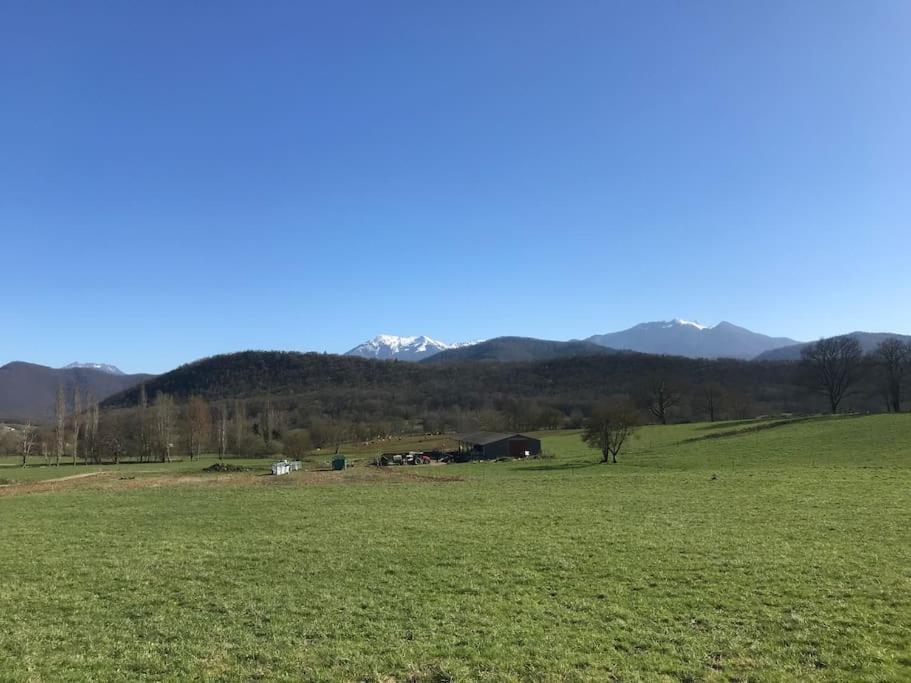 Au Coeur De Loo Villa Sauveterre-de-Comminges Luaran gambar